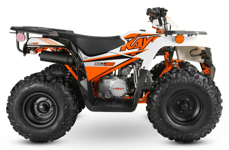 2025 Kayo Bull 125 for Sale