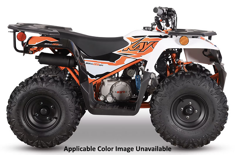 2025 Kayo Bull 125 EFI in Port Washington, Wisconsin