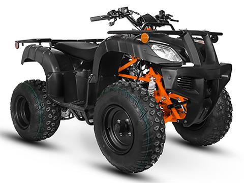 2025 Kayo Bull 150 in Lacey, Washington - Photo 3