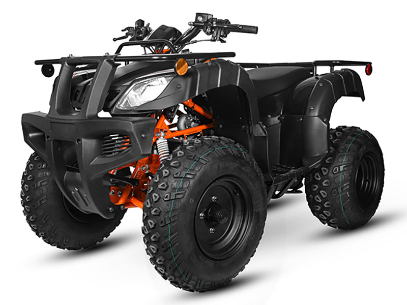 2025 Kayo Bull 150 in Lacey, Washington - Photo 4