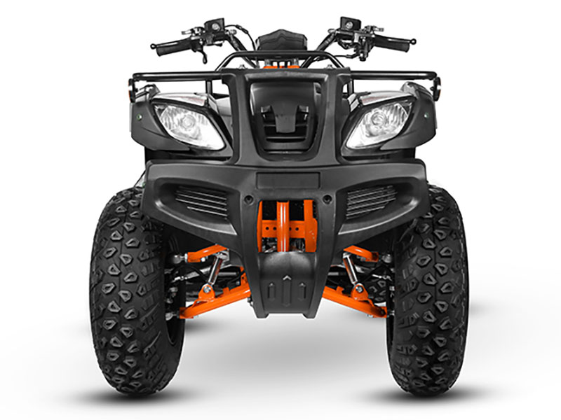 2025 Kayo Bull 150 in Lacey, Washington - Photo 5