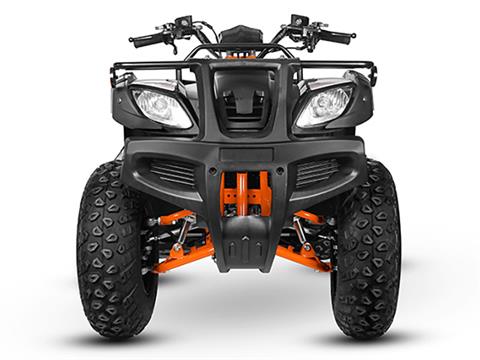 2025 Kayo Bull 150 in Lacey, Washington - Photo 5