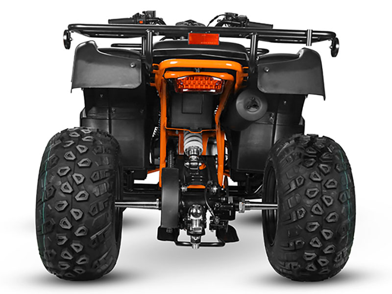 2025 Kayo Bull 150 in Lacey, Washington - Photo 8