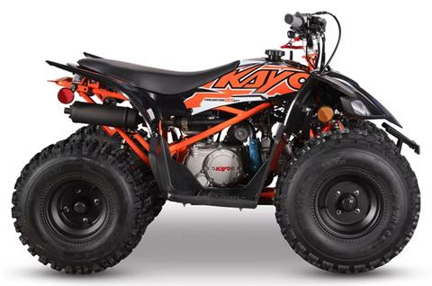 2026 Kayo Predator 125 EFI in Columbia, Missouri - Photo 1