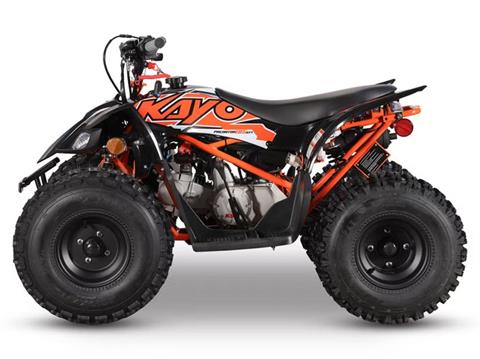 2026 Kayo Predator 125 EFI in Columbia, Missouri - Photo 2