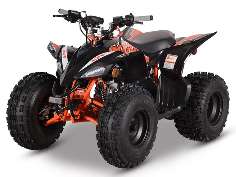 2026 Kayo Predator 125 EFI in Columbia, Missouri - Photo 4