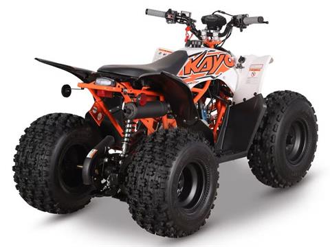 2026 Kayo Predator 125 EFI in Columbia, Missouri - Photo 6