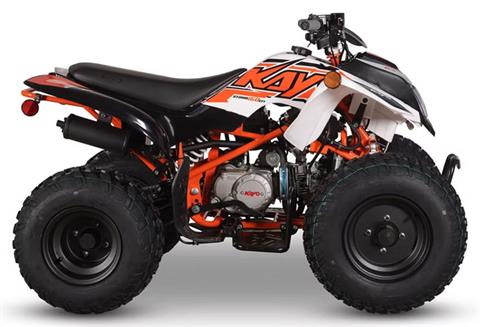 2026 Kayo Storm 150 EFI