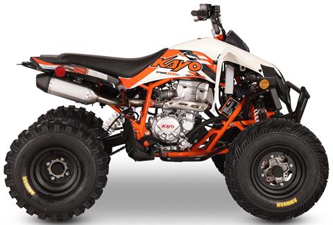 2026 Kayo Storm 300 EFI in Warren, Ohio