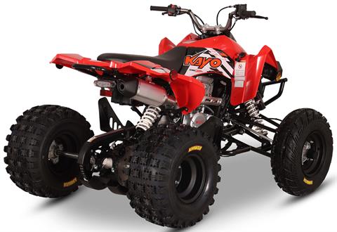 2026 Kayo Storm 300 EFI in Warren, Ohio - Photo 6