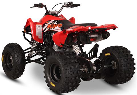 2026 Kayo Storm 300 EFI in Warren, Ohio - Photo 7