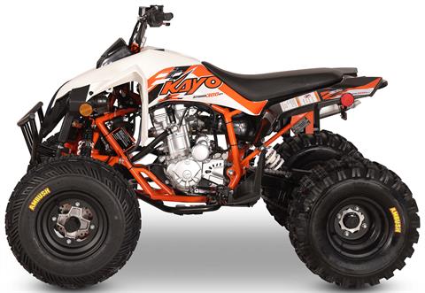 2026 Kayo Storm 300 EFI in Warren, Ohio - Photo 2