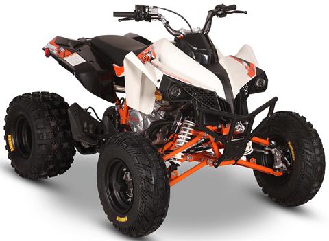 2026 Kayo Storm 300 EFI in Warren, Ohio - Photo 3