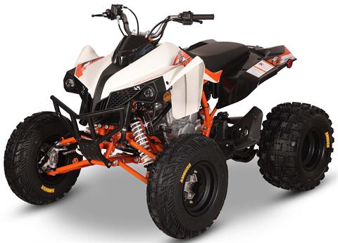 2026 Kayo Storm 300 EFI in Warren, Ohio - Photo 4