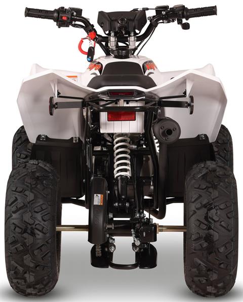 New 2027 Kayo Storm 70 EFI powersports in Salinas, CA | Stock