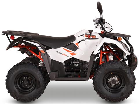 Kayo Dealer, Clearfield PA | Models at Carns Powersports
