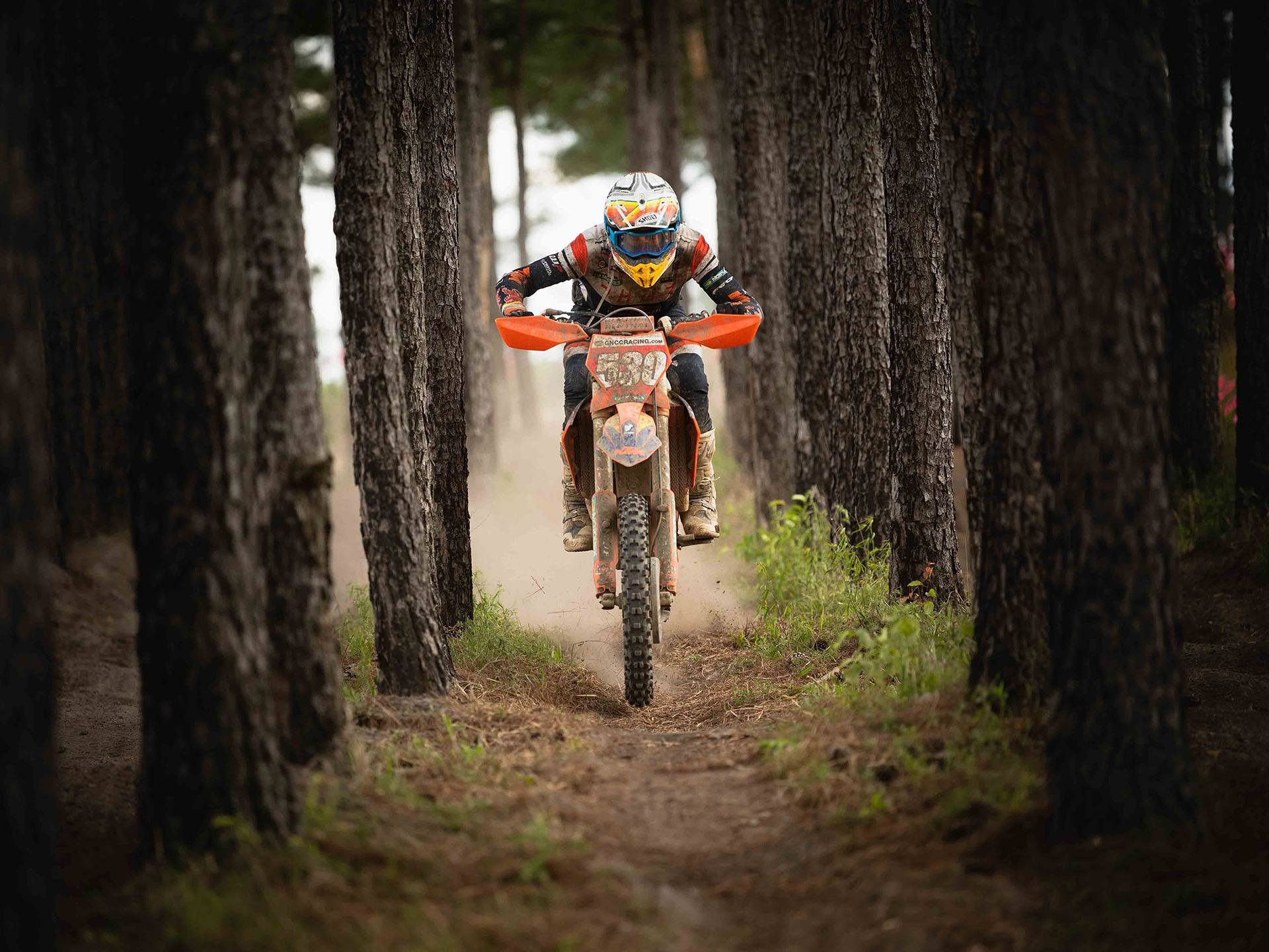 2024 KTM 350 XC-F Factory Edition in Athens, Ohio - Photo 10