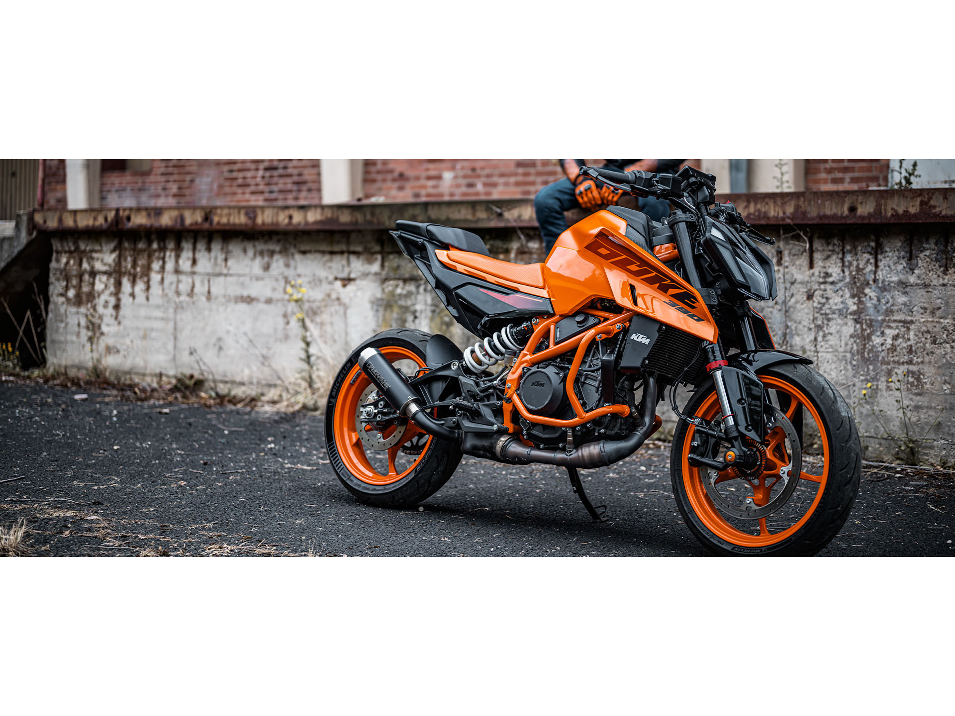 Duke 399 price cheap