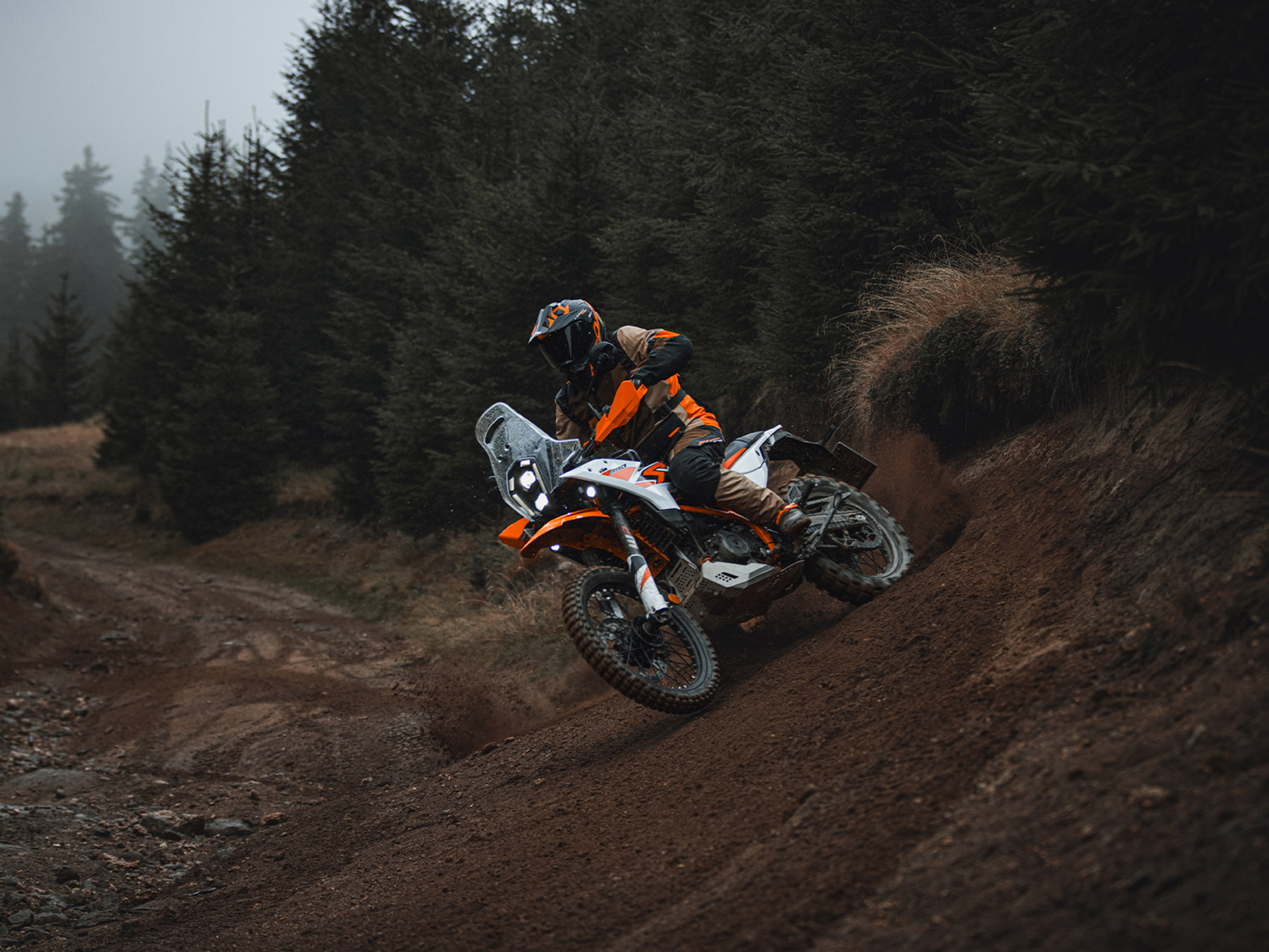2025 KTM 390 Adventure R in The Dalles, Oregon - Photo 8