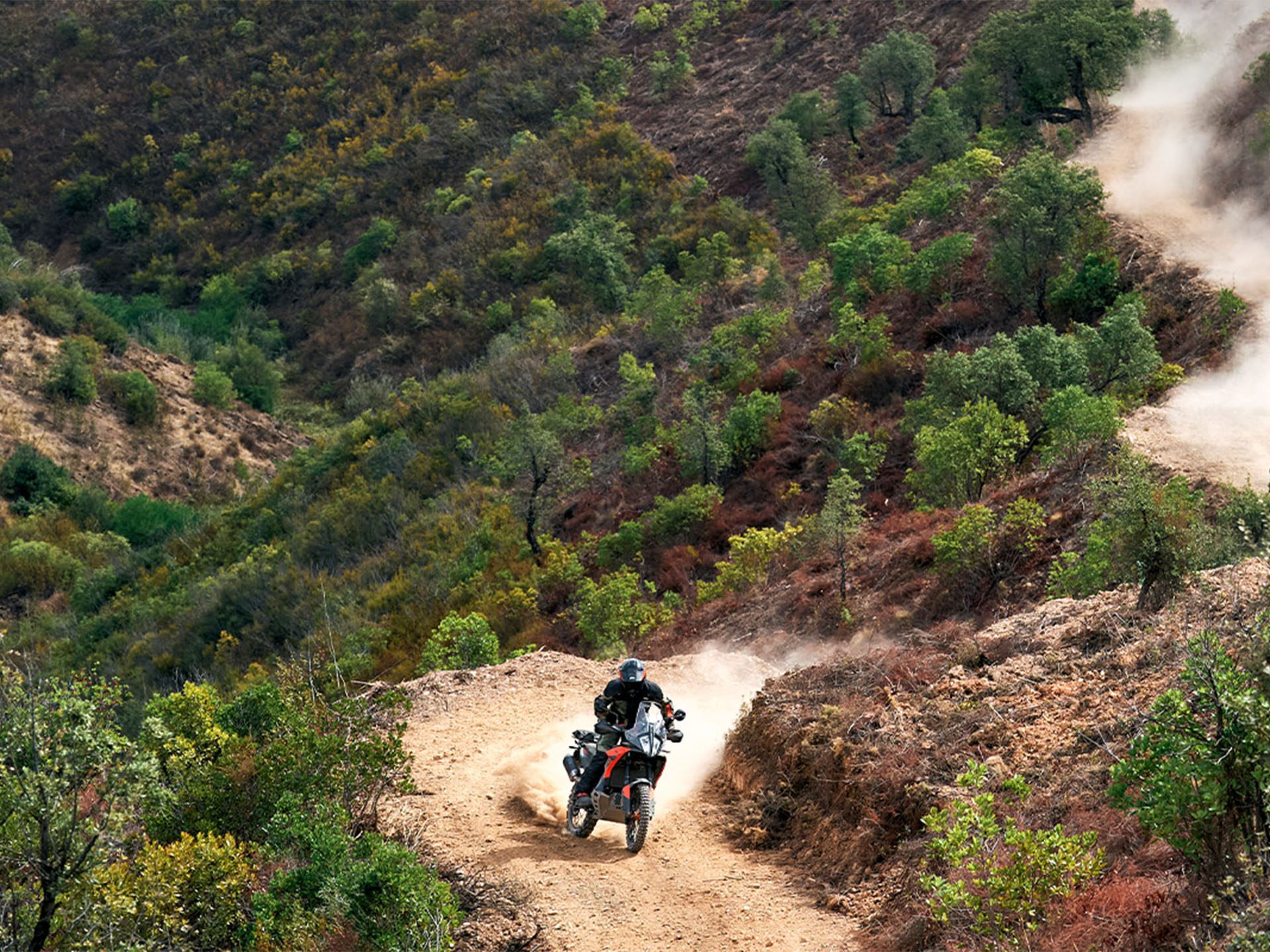 2025 KTM 790 Adventure in Topeka, Kansas - Photo 10