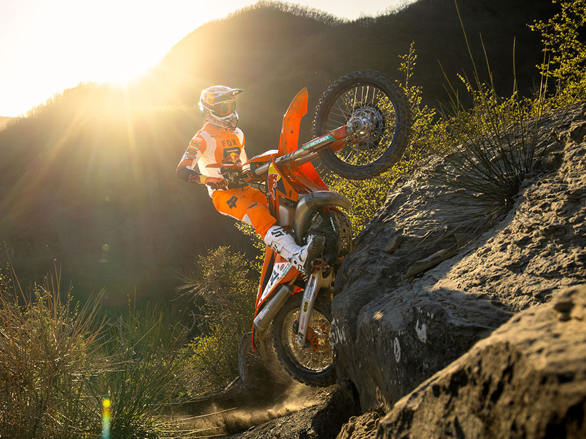 2025 KTM 300 XC-W Champion Edition in Topeka, Kansas - Photo 10