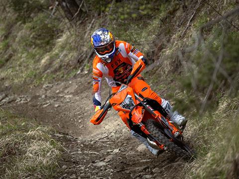 2025 KTM 300 XC-W Hardenduro in Marietta, Ohio - Photo 15