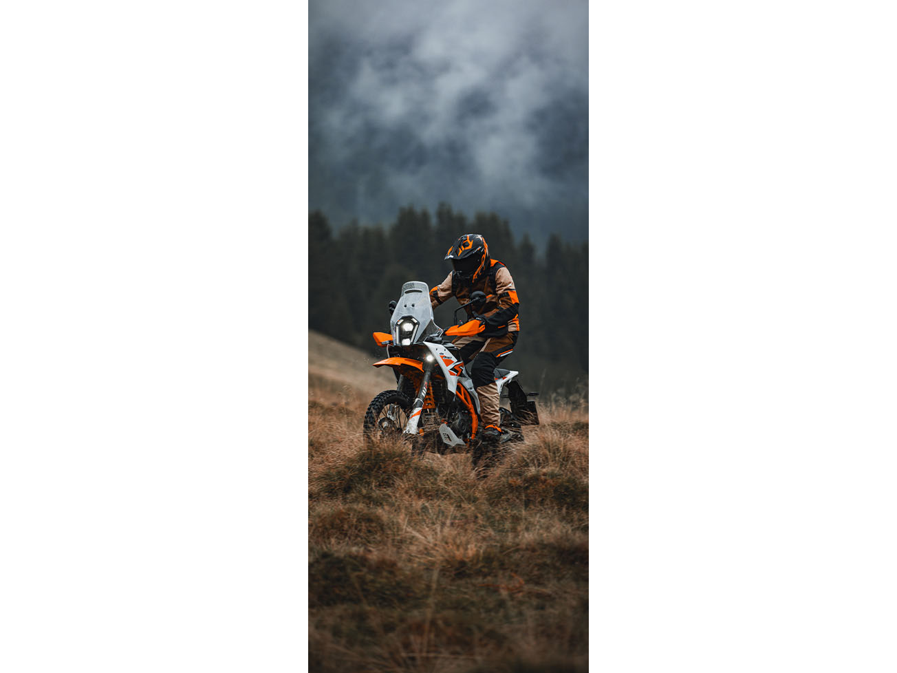 2026 KTM 390 Adventure R in North Mankato, Minnesota - Photo 13