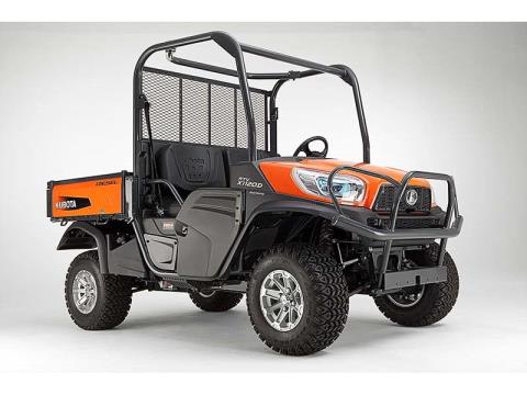 Orange - Photo 6