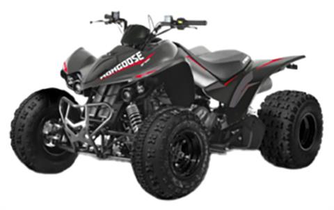 2023 Kymco Mongoose 270i in West Bridgewater, Massachusetts