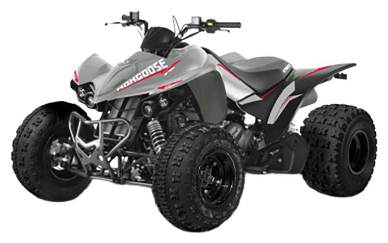 2023 Kymco Mongoose 270i in West Bridgewater, Massachusetts