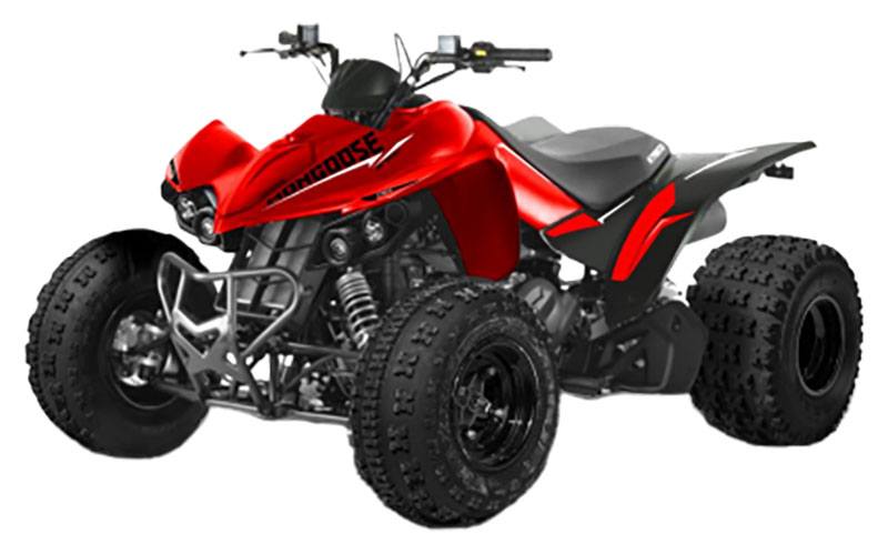 2023 Kymco Mongoose 270i in West Bridgewater, Massachusetts