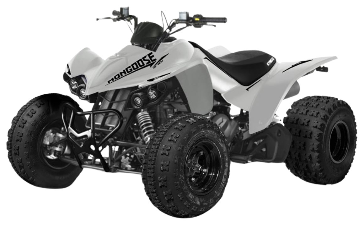 2026 Kymco Mongoose 270i in Virginia Beach, Virginia