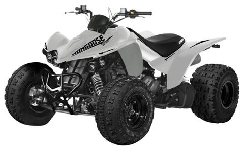 2026 Kymco Mongoose 270i in Virginia Beach, Virginia