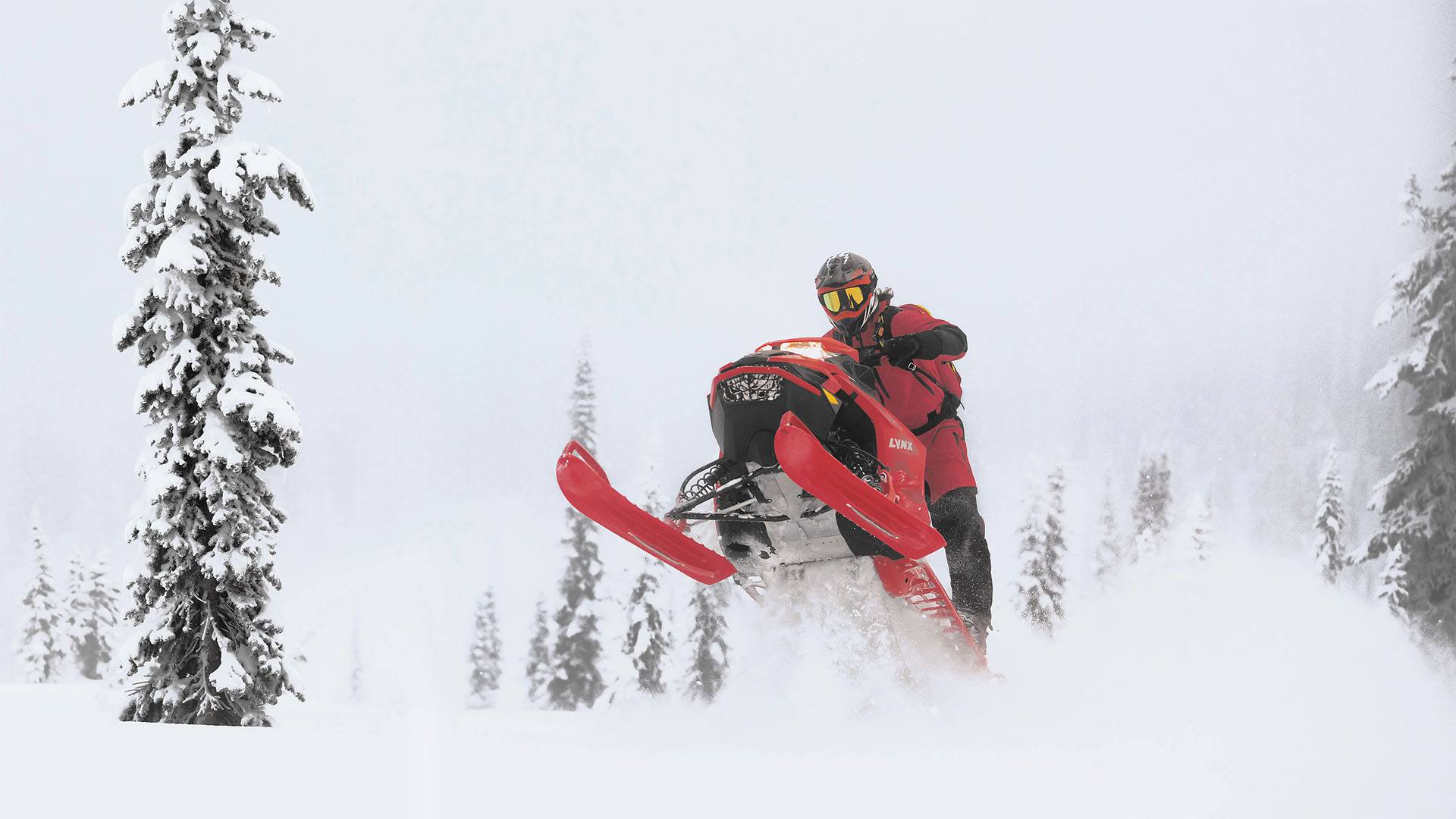 2022 LYNX BoonDocker DS 4100 850 E-TEC PowderMax Light FlexEdge 3.0 SHOT in Burlington, Washington - Photo 30