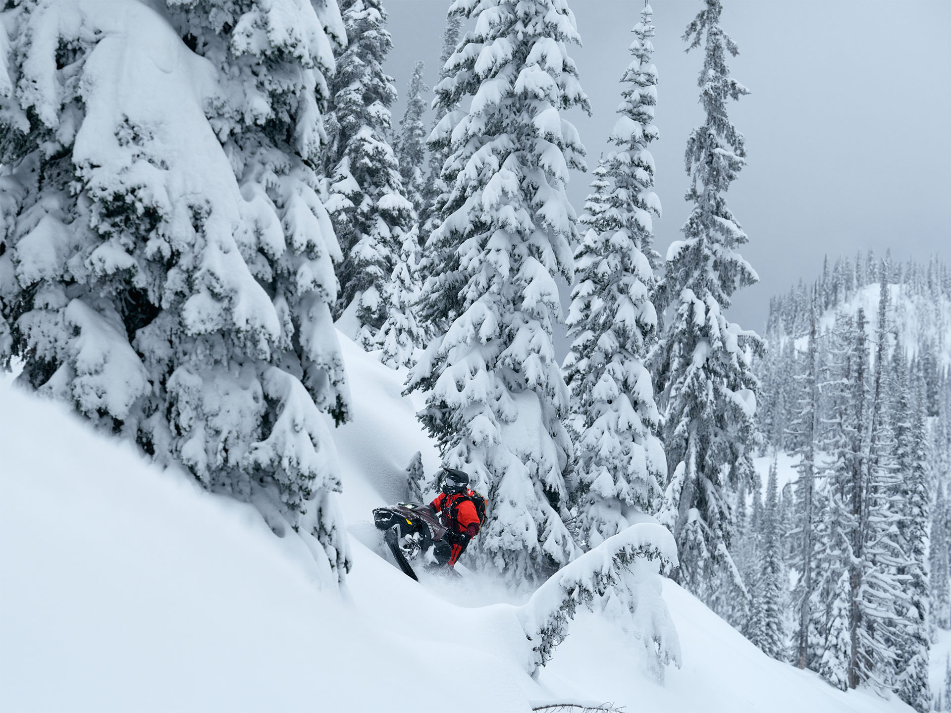 2026 LYNX Shredder DS 3900 850 E-TEC Turbo R PowderMax X-Light 3.0 SHOT w/ 10.25 in. Touchscreen in Fairview, Utah - Photo 6