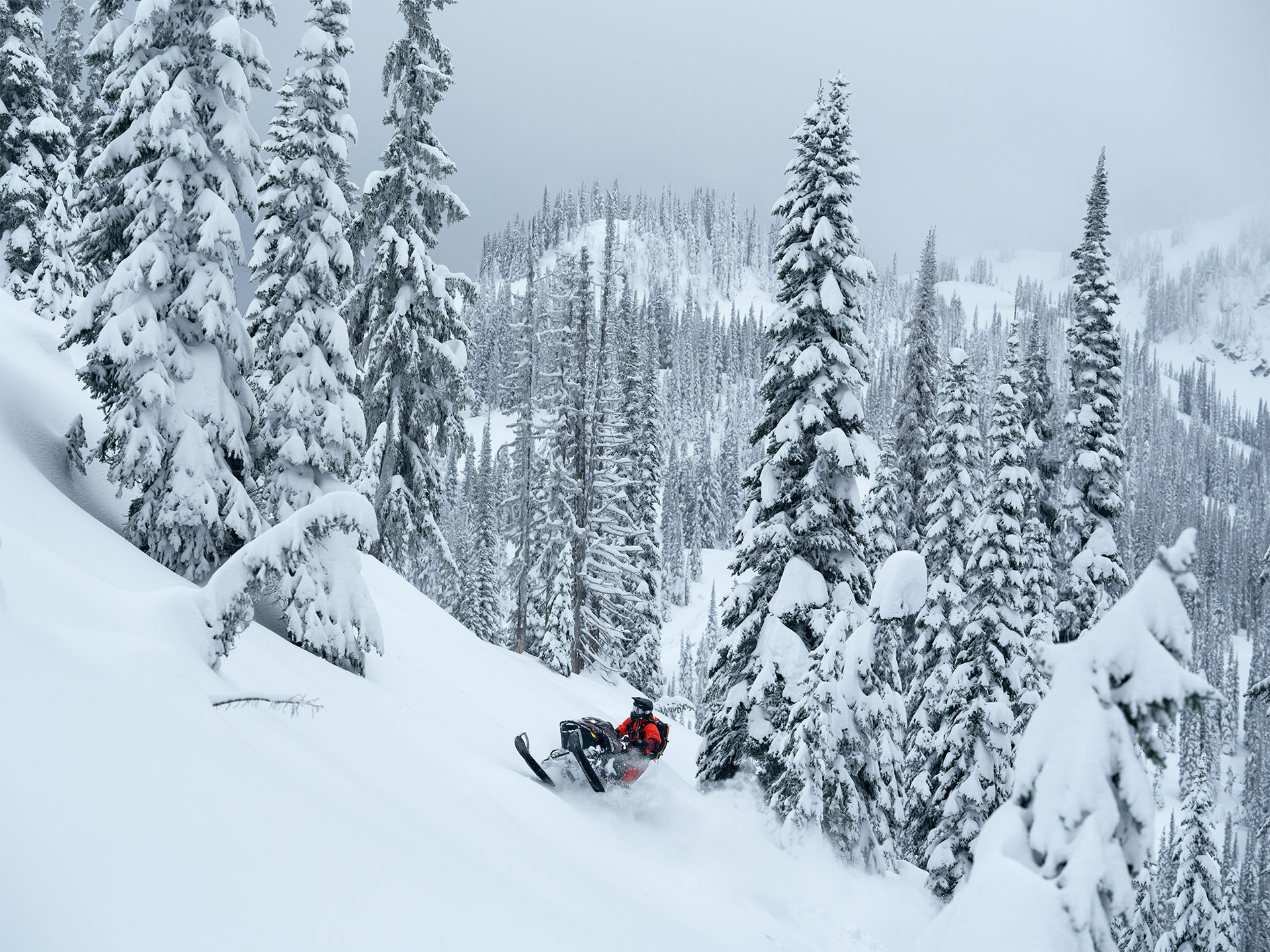 2026 LYNX Shredder DS 3900 850 E-TEC Turbo R PowderMax X-Light 3.0 SHOT w/ 10.25 in. Touchscreen in Fairview, Utah - Photo 8