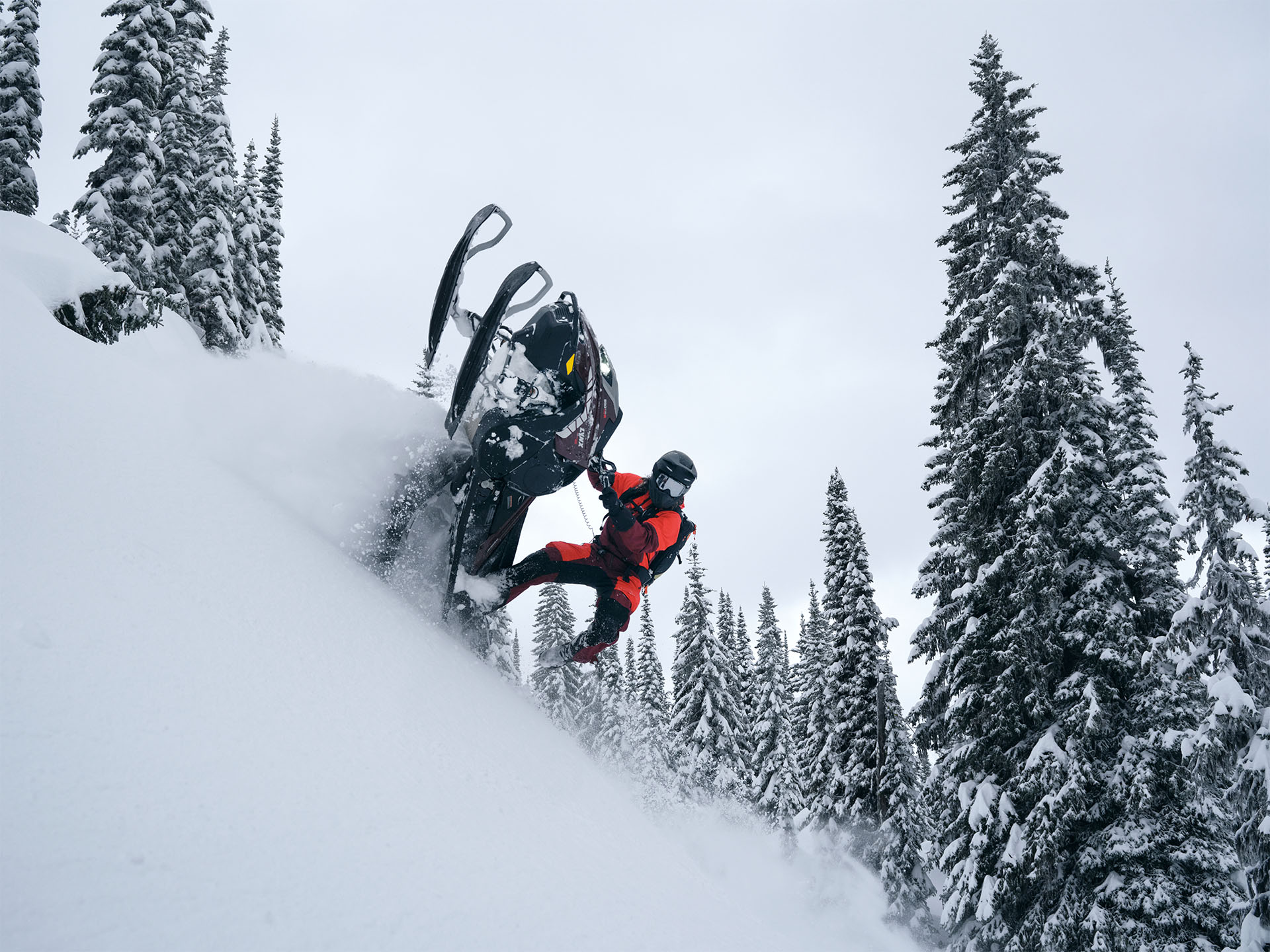 2026 LYNX Shredder DS 3900 850 E-TEC Turbo R PowderMax X-Light 3.0 SHOT w/ 10.25 in. Touchscreen in Fairview, Utah - Photo 9