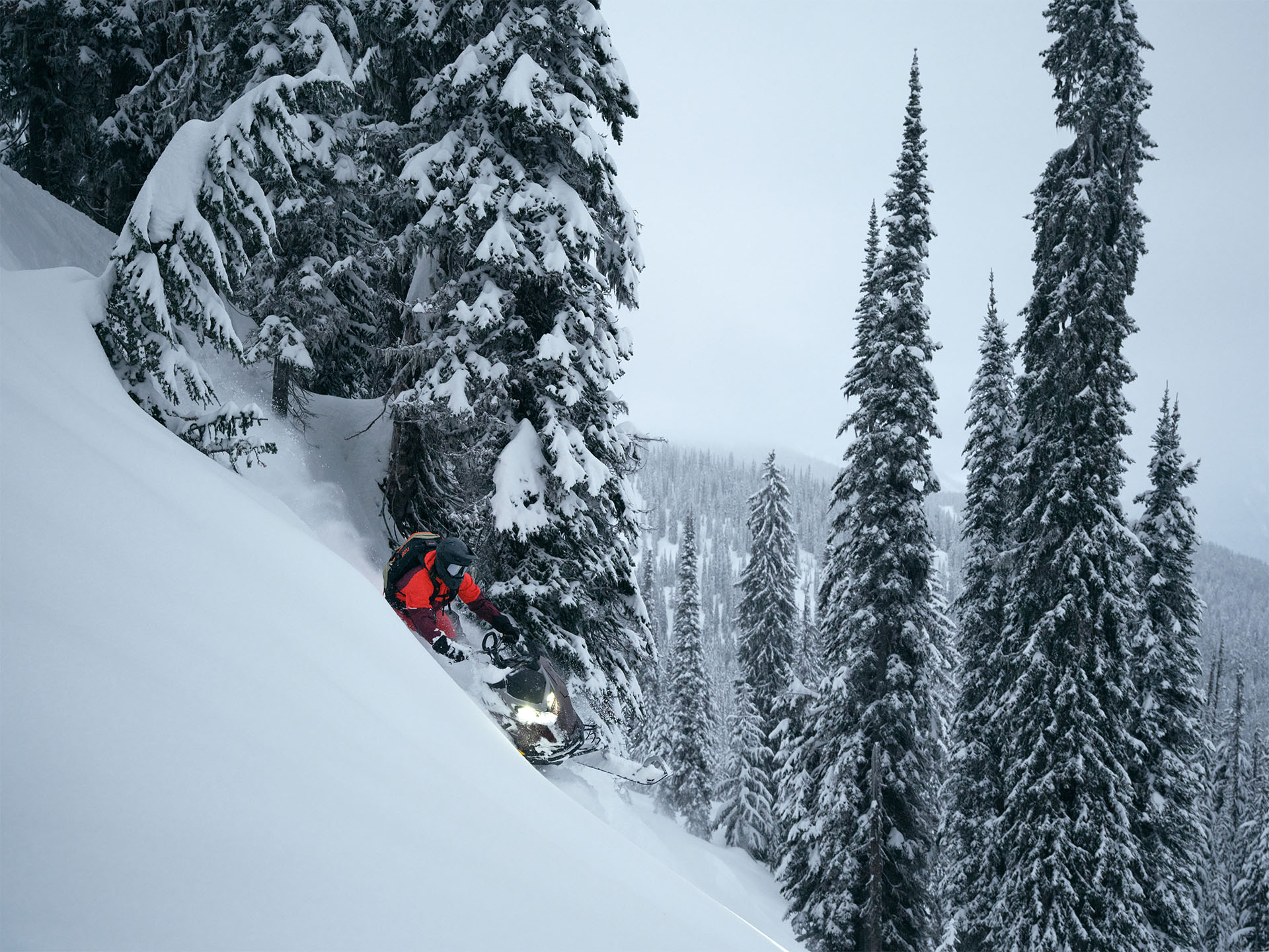 2026 LYNX Shredder DS 3900 850 E-TEC Turbo R PowderMax X-Light 3.0 SHOT w/ 10.25 in. Touchscreen in Fairview, Utah - Photo 10