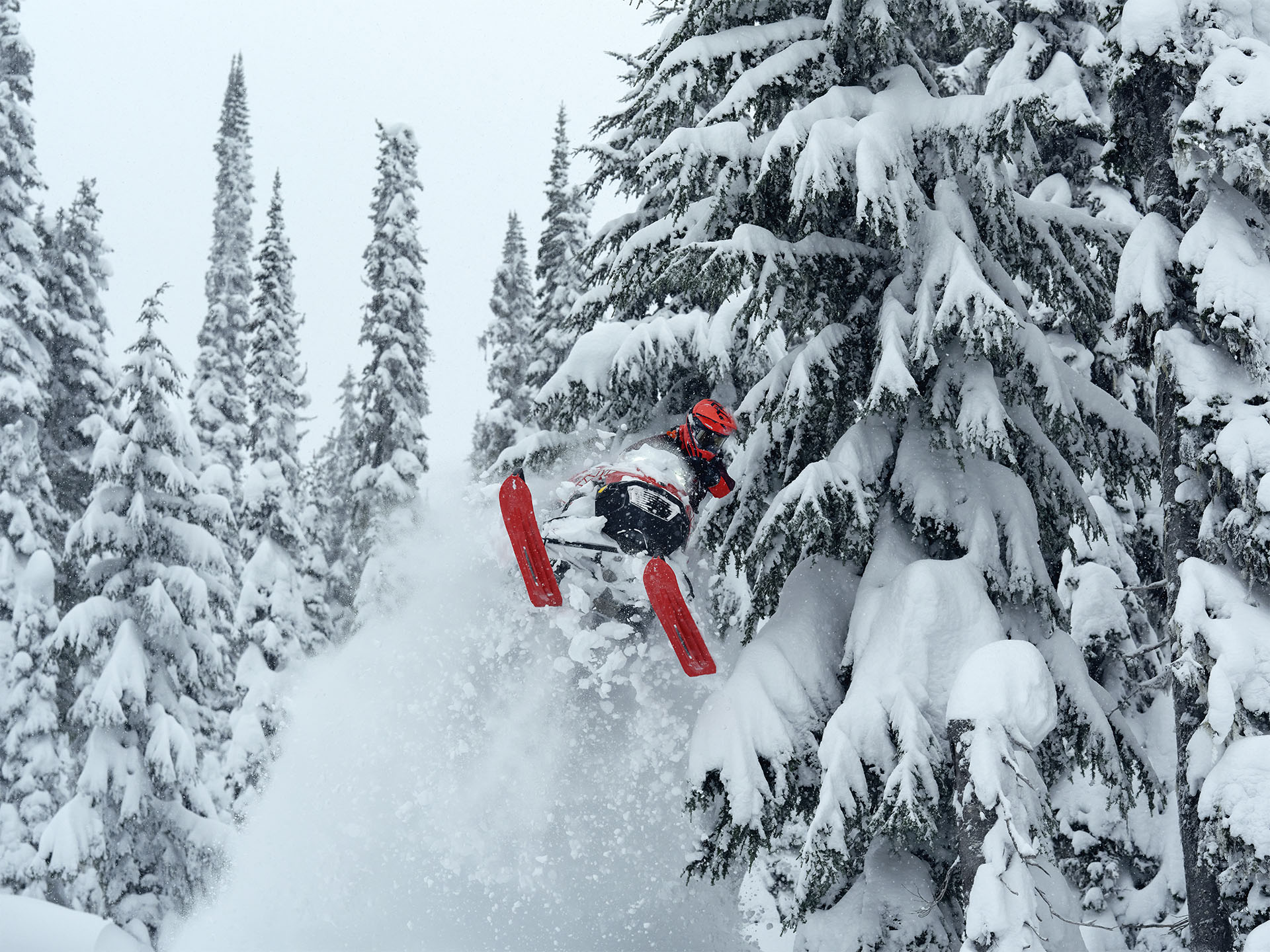 2026 LYNX Shredder RE 3700 850 E-TEC PowderMax SHOT w/ 10.25 in. Touchscreen in Fairview, Utah - Photo 15