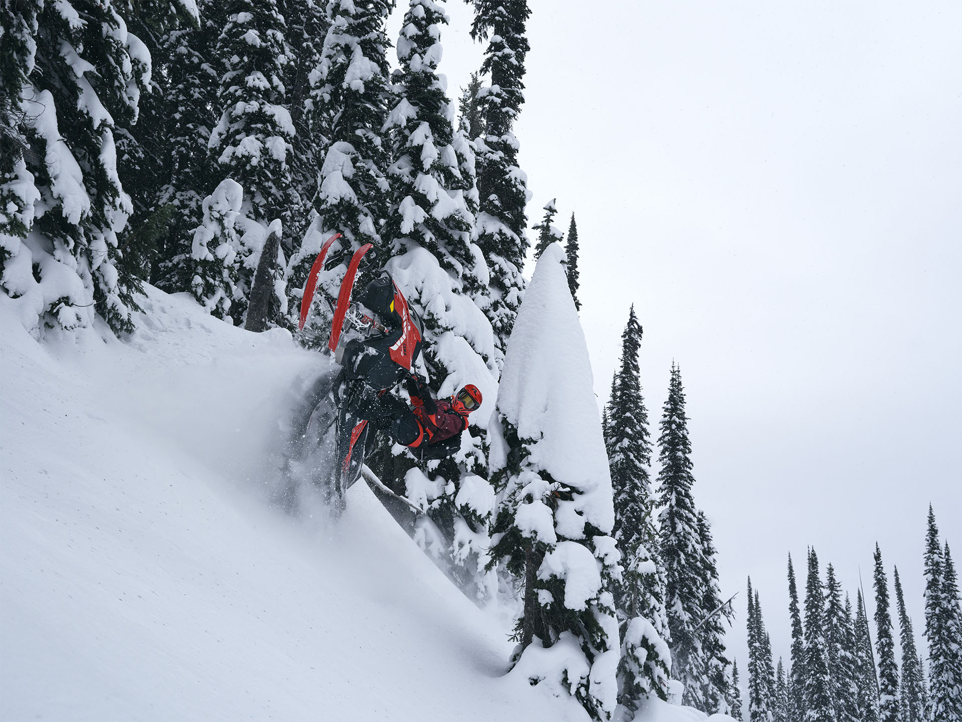2026 LYNX Shredder RE 3700 850 E-TEC Turbo R PowderMax SHOT w/ 10.25 in. Touchscreen in Fairview, Utah - Photo 11