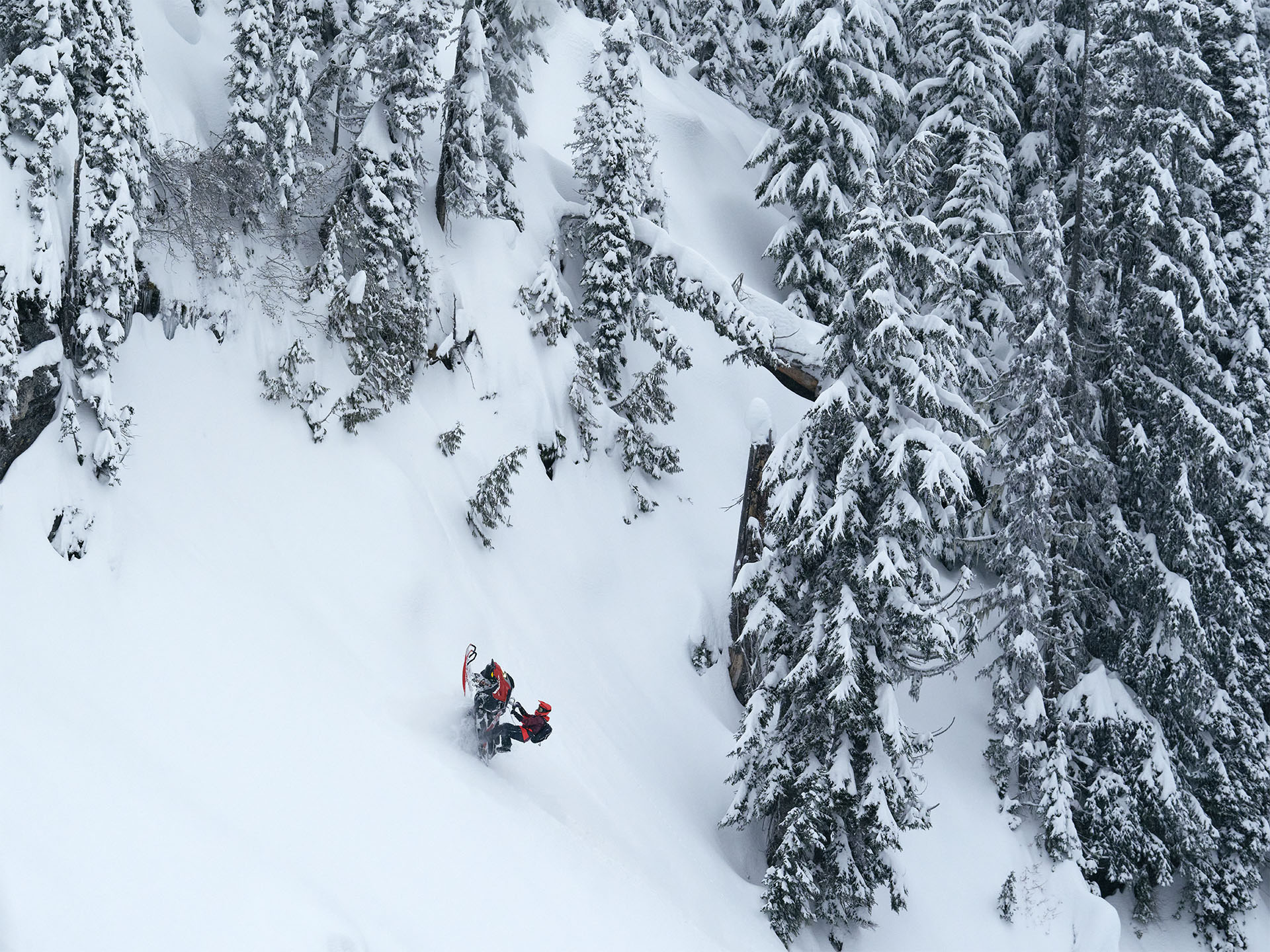 2026 LYNX Shredder RE 3700 850 E-TEC Turbo R PowderMax SHOT w/ 10.25 in. Touchscreen in Fairview, Utah - Photo 16