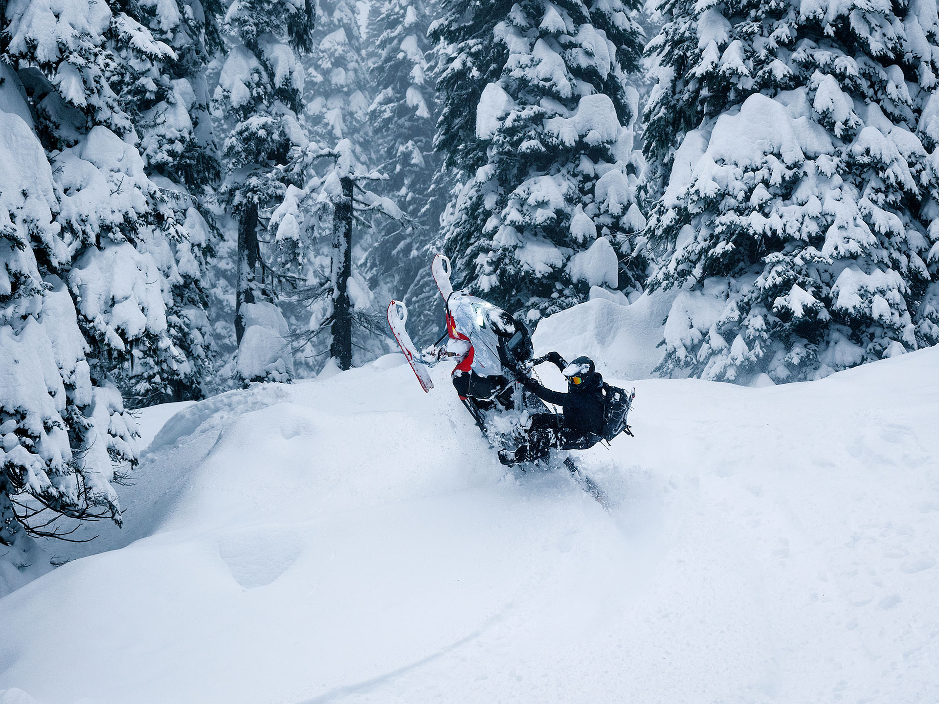 2027 LYNX Shredder RE 3700 850 E-TEC Turbo R PowderMax X-Light 3.0 SHOT w/ 10.25 in. Touchscreen in Fairview, Utah - Photo 13