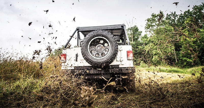 2020 Mahindra Roxor ROXOR Offroad A/T in Saint Joseph, Missouri - Photo 10
