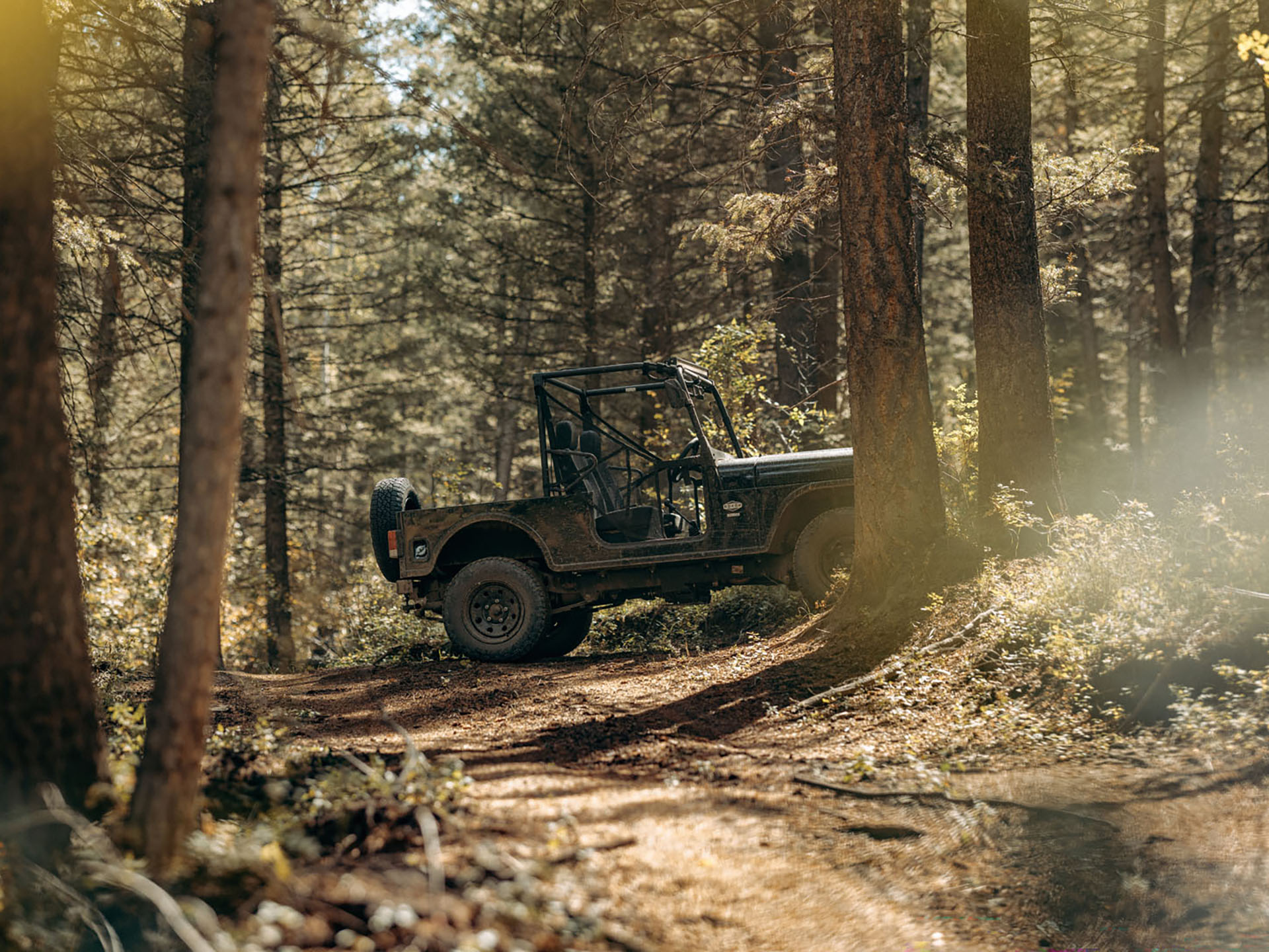 New 2025 Mahindra Roxor Base Model, Rock Springs WY | Specs, Price ...