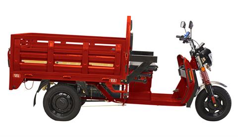 Trikes for sale under 10000 best sale