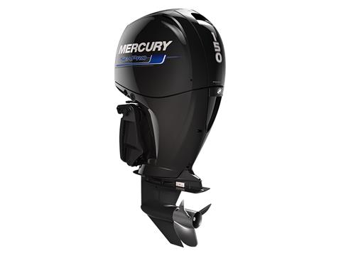 Mercury Marine 150L SeaPro in Huron, Ohio - Photo 1