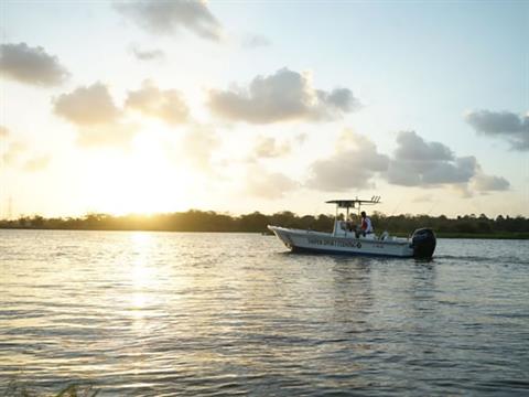 Mercury Marine 150XL SeaPro Boat Engines Albert Lea
