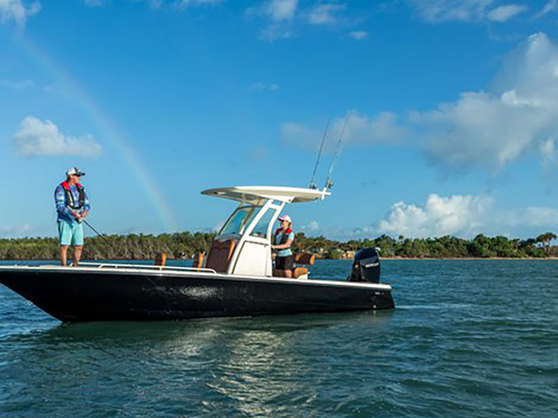Mercury Marine 175XL FourStroke DTS in Huron, Ohio - Photo 2