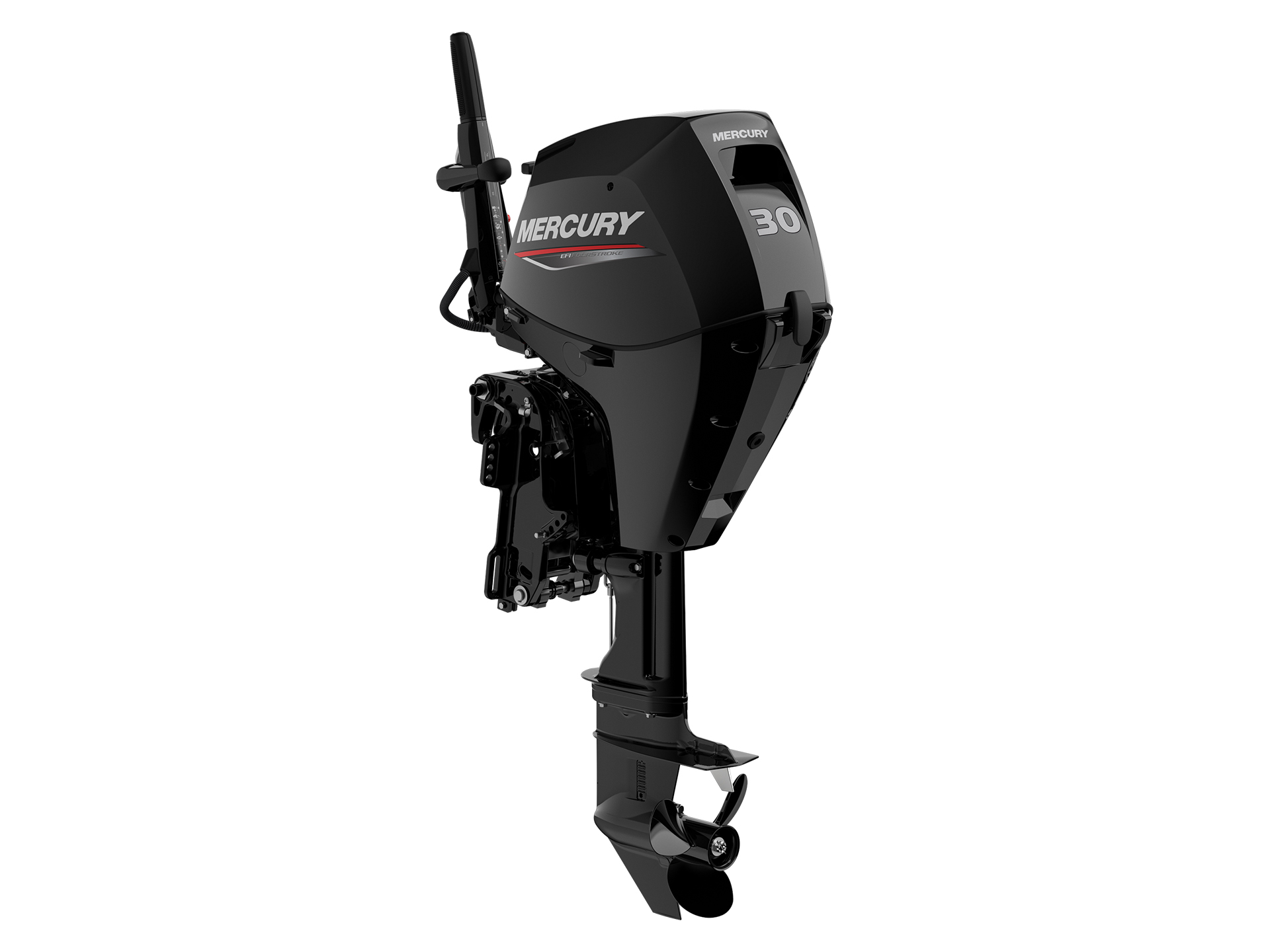 Mercury Marine 30ELHGA FourStroke in Huron, Ohio - Photo 4