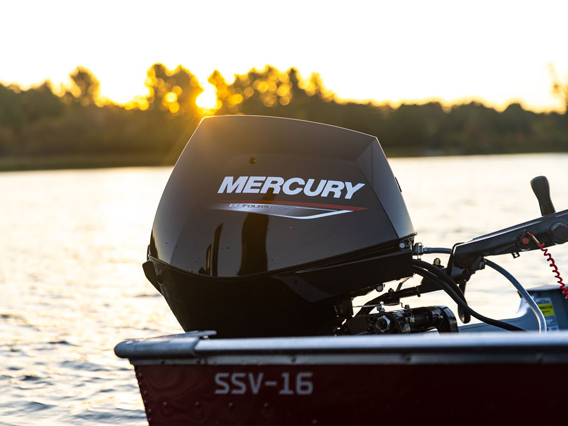 Mercury Marine 30MLHGA FourStroke in Huron, Ohio - Photo 7